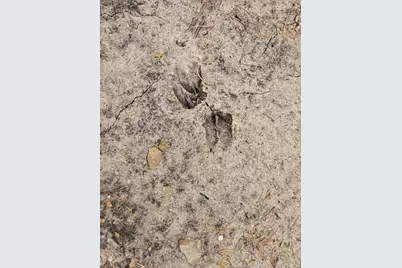 Lot 2 18th Street, Necedah, WI 54646 - Photo 7