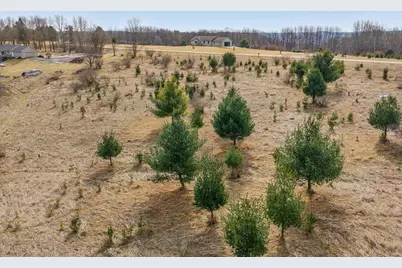 Lot 1083 Miller Road, La Valle, WI 53941 - Photo 9