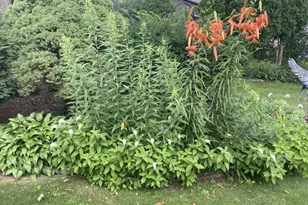 2306 Woodcrest Dr, Portage, WI 53901 - Photo 63