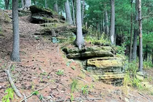 55 Bowman Rd, Wisconsin Dells, WI 53965 - Photo 67