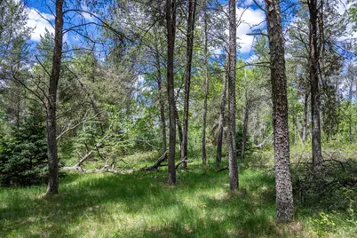 N8034 North Shore Drive, New Lisbon, WI 53950 - Photo 45