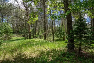 N8034 North Shore Drive, New Lisbon, WI 53950 - Photo 31