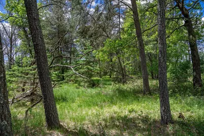 N8034 North Shore Drive, New Lisbon, WI 53950 - Photo 43