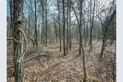 949 Fur Avenue, Springville, WI 53965 - Photo 29