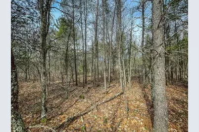 949 Fur Avenue, Springville, WI 53965 - Photo 31