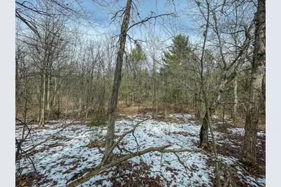 949 Fur Avenue, Springville, WI 53965 - Photo 35