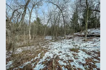 949 Fur Avenue, Springville, WI 53965 - Photo 37