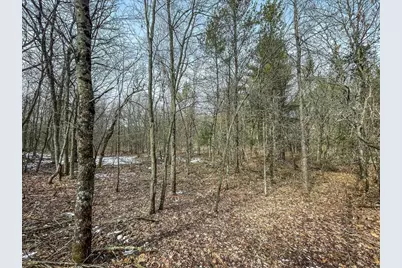 949 Fur Avenue, Springville, WI 53965 - Photo 33