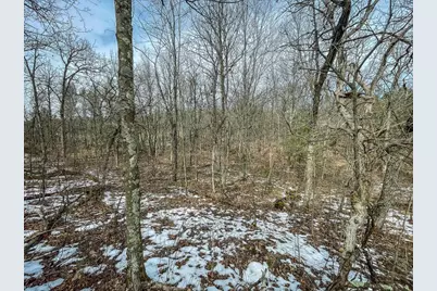 949 Fur Avenue, Springville, WI 53965 - Photo 39