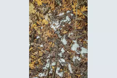 949 Fur Avenue, Springville, WI 53965 - Photo 13