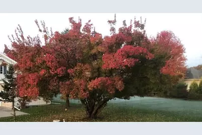 8701 Nelson Crossing, Verona, WI 53593 - Photo 71