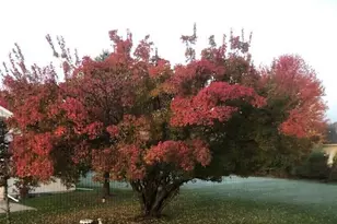 8701 Nelson Crossing, Verona, WI 53593 - Photo 71