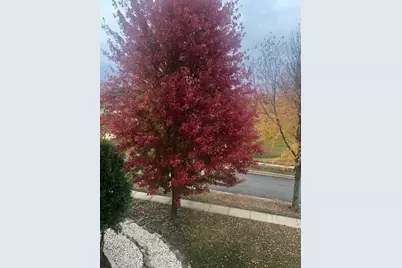 8701 Nelson Crossing, Verona, WI 53593 - Photo 73