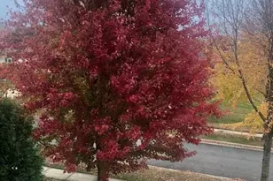 8701 Nelson Crossing, Verona, WI 53593 - Photo 73