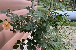 N7583 State Road 58, New Lisbon, WI 53950 - Photo 75