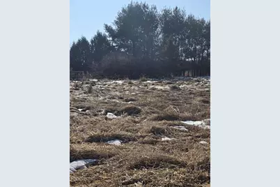 215 E Logan Street, Tomah, WI 54660 - Photo 39