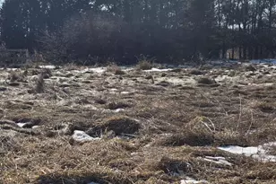 215 E Logan St, Tomah, WI 54660 - Photo 39