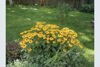 533 Shady Wood Way, Madison, WI 53714 - Photo 45