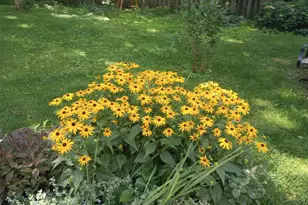 533 Shady Wood Way, Madison, WI 53714 - Photo 45