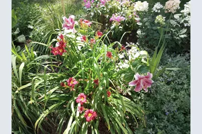 533 Shady Wood Way, Madison, WI 53714 - Photo 41