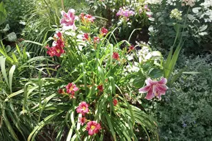 533 Shady Wood Way, Madison, WI 53714 - Photo 41