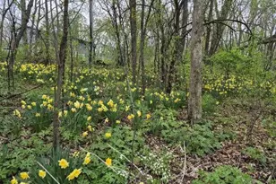 N2493 Kunz Rd, Fort Atkinson, WI 53538 - Photo 39