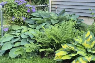 N2493 Kunz Rd, Fort Atkinson, WI 53538 - Photo 37