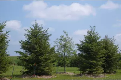 3171 Lymans Run, Sun Prairie, WI 53590 - Photo 3