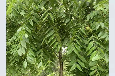 W11380 Ninabuck Road, Columbus, WI 53925 - Photo 9