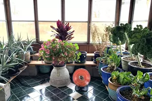 W11380 Ninabuck Rd, Columbus, WI 53925 - Photo 41