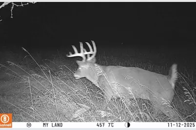 Lot 1 Hwy 22, Montello, WI 53949 - Photo 7