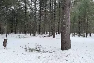 3563 Kelsey Rd, Florence, WI 54121 - Photo 23