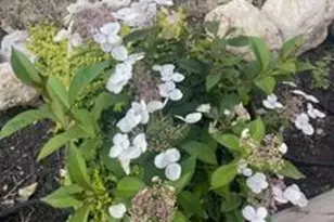 2277 Pioneer Dr, Beloit, WI 53511 - Photo 27