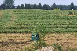 L137 Colton Way, Sun Prairie, WI 53590 - Photo 1