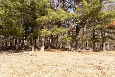 95+/- Ac Riverview Dr Acres, Montello, WI 53949 - Photo 11