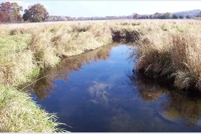 Wilcox Road, Portage, WI 53901 - Photo 37