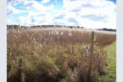 Wilcox Road, Portage, WI 53901 - Photo 21