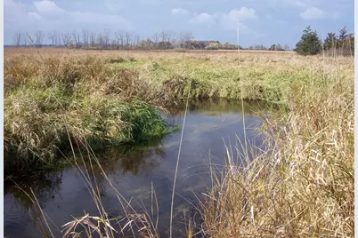 Wilcox Road, Portage, WI 53901 - Photo 41