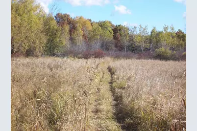 Wilcox Road, Portage, WI 53901 - Photo 17