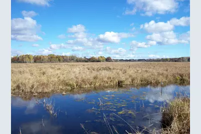 Wilcox Road, Portage, WI 53901 - Photo 5