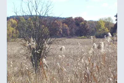 Wilcox Road, Portage, WI 53901 - Photo 19