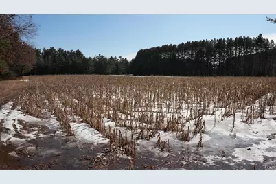 80 Ac King Lane Acres, Rosholt, WI 54473 - Photo 21