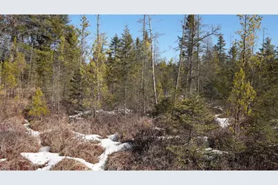 80 Ac King Lane Acres, Rosholt, WI 54473 - Photo 17