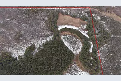 80 Ac King Lane Acres, Rosholt, WI 54473 - Photo 13