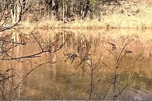 S10970 Butternut Rd, Spring Green, WI 53588 - Photo 87