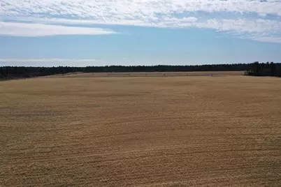 281.68 Acres Buttercup Ave &amp; 16th Avenue, Arkdale, WI 54613 - Photo 35