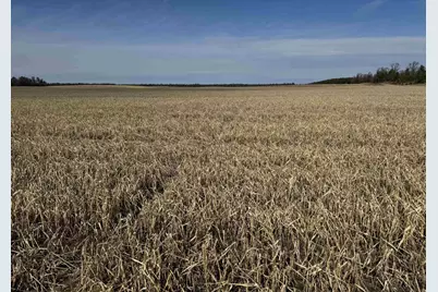 281.68 Acres Buttercup Ave &amp; 16th Avenue, Arkdale, WI 54613 - Photo 7