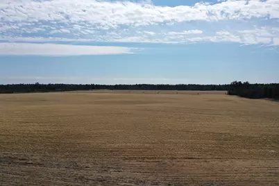 281.68 Acres Buttercup Ave &amp; 16th Avenue, Arkdale, WI 54613 - Photo 37