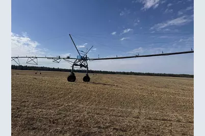 281.68 Acres Buttercup Ave &amp; 16th Avenue, Arkdale, WI 54613 - Photo 3