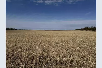 281.68 Acres Buttercup Ave &amp; 16th Avenue, Arkdale, WI 54613 - Photo 5